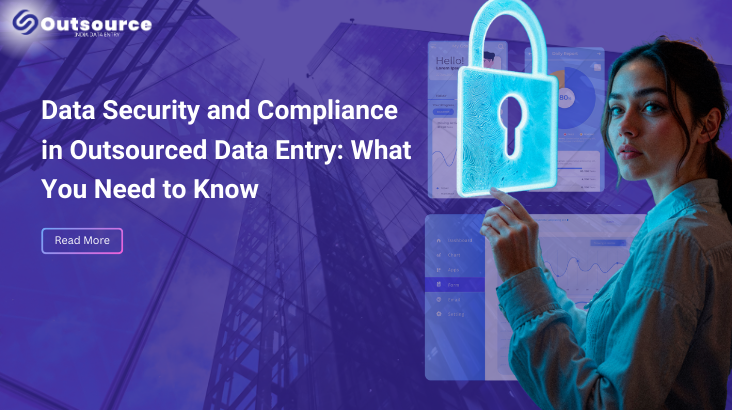 Data Security in Outsourced Data Entry