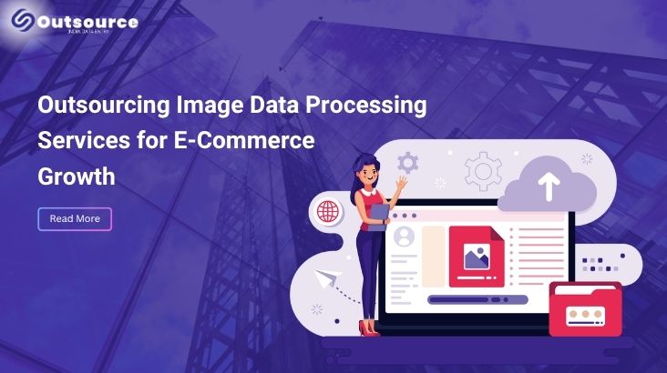 Image Data Processing Services