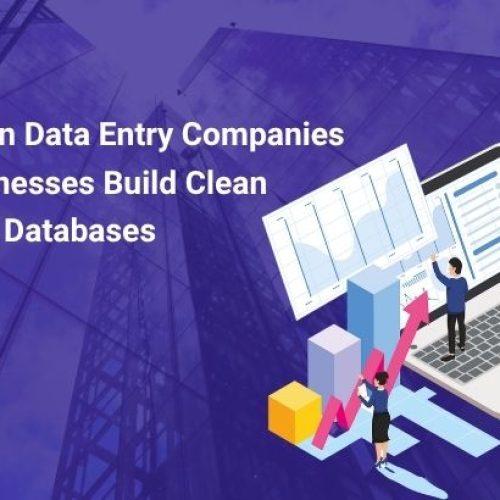 How Indian Data Entry Companies Help Businesses Build Clean Customer Databases