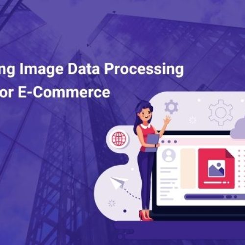 Image Data Processing Services